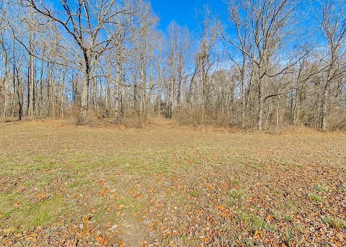 Spacious Shawnee Forest Hideaway! Hilltop Estate Murphysboro